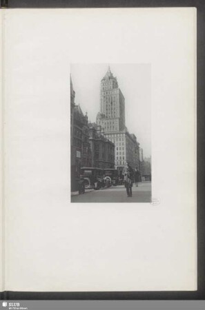 5. Avenue