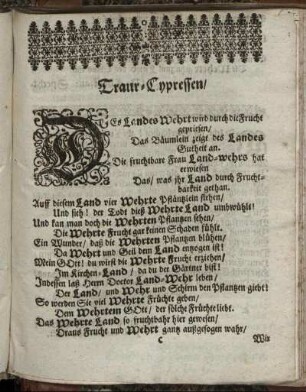 Traur-Cypressen