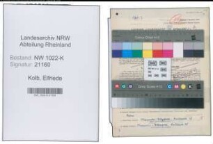 Entnazifizierung Elfriede Kolb , geb. 08.09.1893 (Lehrerin)