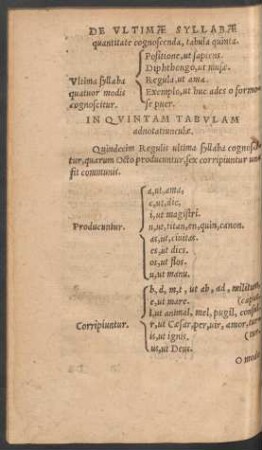 De Ultimae Syllabae quantitate cognoscenda, tabula quinta.