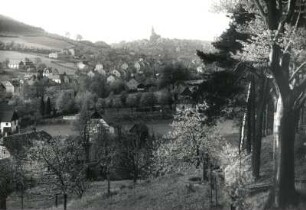 Schneeberg, Stadtansicht : Schneeberg (Erzgebirge). Stadtansicht mit Stadtkirche Sankt Maria und Sankt Wolfgang von Osten