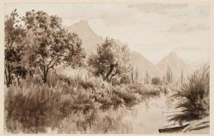 Flusslauf mit dicht bewachsenem Ufer