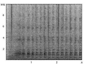 Haushuhn | Gallus gallus f. domestica - Lautfolge