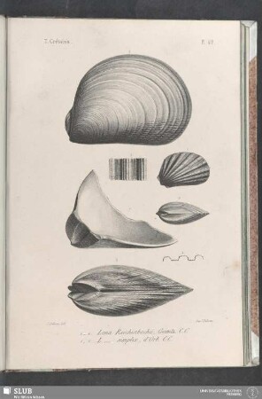 Pl. 418