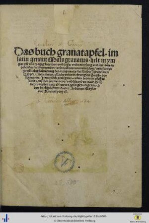 Das Buch Granatapfel, im Latin genant Malogranatus : helt in ym gar vil ... Underweysung und Leer ...