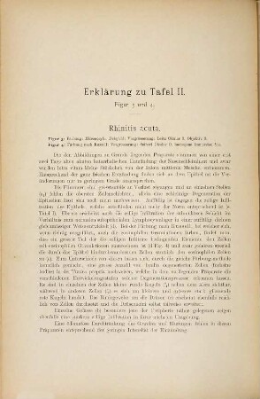 Atlas der Histopathologie der Nase, der Mundrachenhöhle und des Kehlkopfes