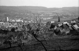 Lörrach, Tüllingen: Von Tüllingen (alte Dächer) auf Stetten und Grenze
