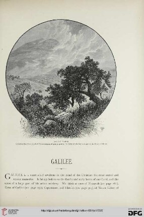 Galilee