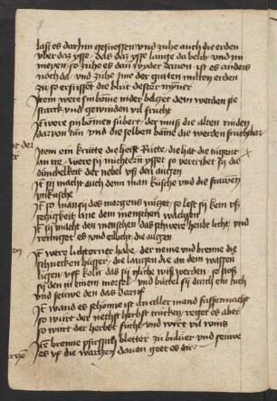 Liber herbarum (Auszug, zur Raute)