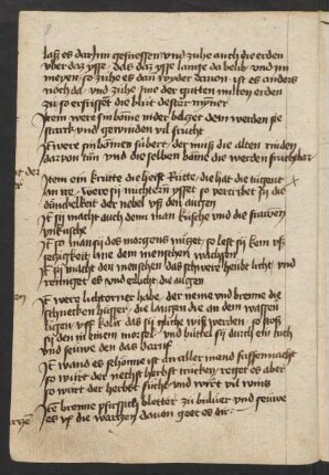 Liber herbarum (Auszug, zur Raute)