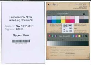 Entnazifizierung Hans Nippels , geb. 09.04.1902 (Arzt)