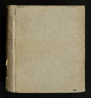 Joannis Godofredi Meieri, I. U. D. Philosophiae Practicae In Academia Giessensi, Profess. Publ. Ordin. Iuriumque Extraordinarii De Iure Ratihabitationis Schedion