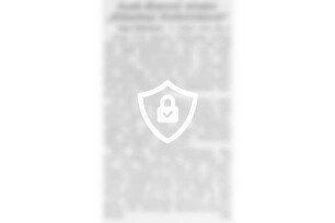Auch diesmal wieder "Oldesloer Einheitsblock"