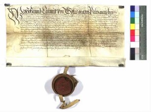 1584 September 8, Heidelberg Pfalzgraf Johann Casimir bei Rhein, Vormund und kurpfälz. Administrator, belehnt Caspar Lerch von Dirmstein, Caspars Sohn, mit dem Burglehen zu Alzey und einem Gütchen zu Friesenheim als Burglehen zu Oppenheim. Sg.: A. Or., Perg.