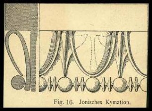 Abbildung Ionisches Kymation