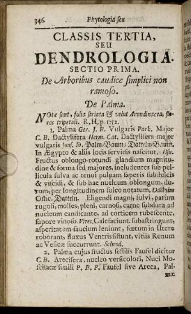 Sectio Prima. De Arboribus caudice simplici non ramoso. - Sectio Quinta. De Arboribus fructu calyculato.