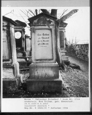 Grabstein von Eva Tribus, geborene Eberstadt (gestorben 1917.05.06)