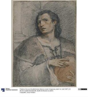 Brustbild eines Mannes (nach Giorgione)