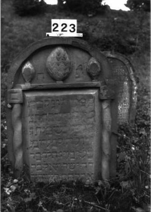 Grabstein 223