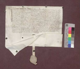 Hans Konrad von Bodman zu Möggingen übernimmt als Vormund der Söhne des verstorbenen Hans Wolf von Bodman von Abt Diethelm von St. Gallen das Schloß Schneeburg mit dem Bauhof und der Vogtei etc. zu Ebringen, Talhausen und Berghausen als Lehen.