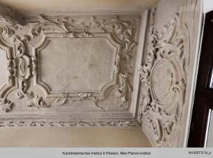 Stuckdecke mit Akanthus- und Blumenranken und Putto