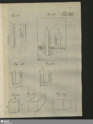 Tab. XXII