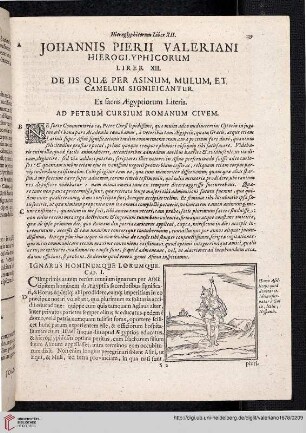 Liber XII