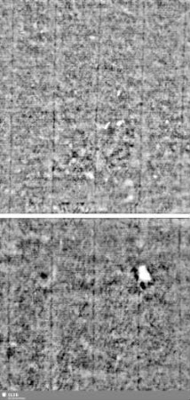 Lilienschild + IESV / LW = Bd.1,S.19/20+179/180
