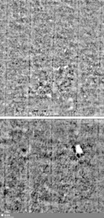 Lilienschild + IESV / LW = Bd.1,S.19/20+179/180
