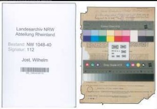 Entnazifizierung Wilhelm Jost , geb. 08.11.1888 (Anwalt)