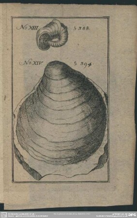 No. XIII. S. 388; No. XIV. S. 394