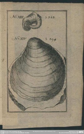 No. XIII. S. 388; No. XIV. S. 394