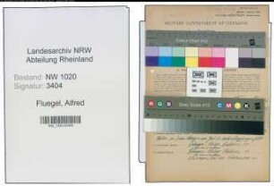 Entnazifizierung Alfred Fluegel , geb. 06.09.1898 ()