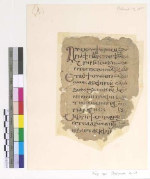 [Theotokia] : Fragm. copt. Pischoi Psalmod. 12