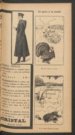 El pavo y la rueda