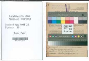 Entnazifizierung Erich Treis , geb. 06.11.1899 (Kaufmaennischer Angestellter)