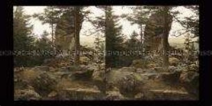 Paternosterklippe, bei Ilsenburg