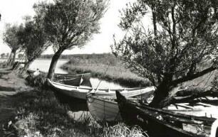 Cammin : Cammin (Kamień Pomorski/Polen). Fischerkähne auf dem Brenkenhofenkanal