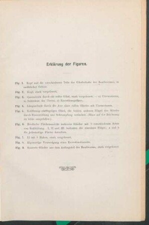 Erklärung der Figuren.