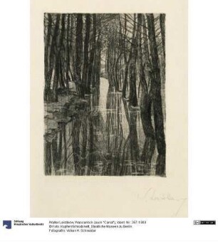 Wasserloch (auch "Canal")