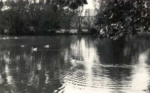 Teich in Ziegendorf : Hat w Ziegendorf