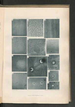 1c.
