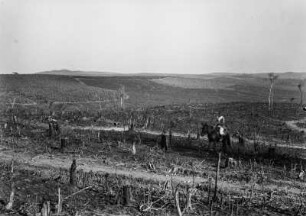 Gerodete Flächen : Blick auf gerodete Flächen in einer Landschaft in der Nähe der Fazenda São Bento 12km südwestlich von Campinas. Links im Hintergrund eine Plantage, dainter Hügel, in der Bildmitte ein Reiter.