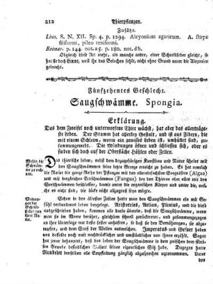 Fünfzehentes Geschlecht. Saugschwämme. Spongia.