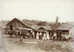 "Bodega" von Kork. Familien Kork.