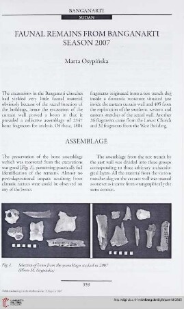 19: Faunal remains from Banganarti season 2007