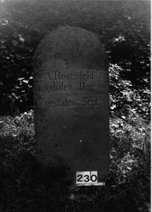 Grabstein 230 (Index: 99897777) Maße HxBxT: 129x55x14 cm: Grabstein 230