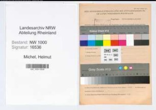 Entnazifizierung Helmut Michel, geb. 06.01.1918 (Verw.Angest.)
