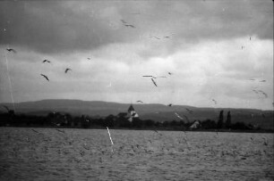 Insel Reichenau