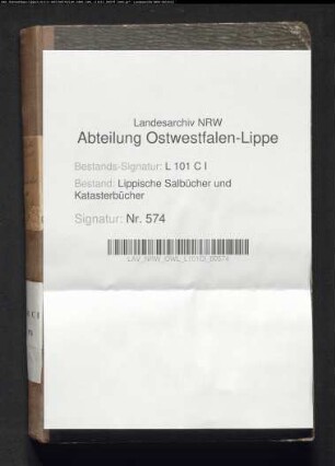 Konzept des Salbuchs des Amtes Schieder von 1859, Bd. 3